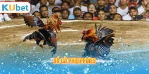 Đá gà Philippines